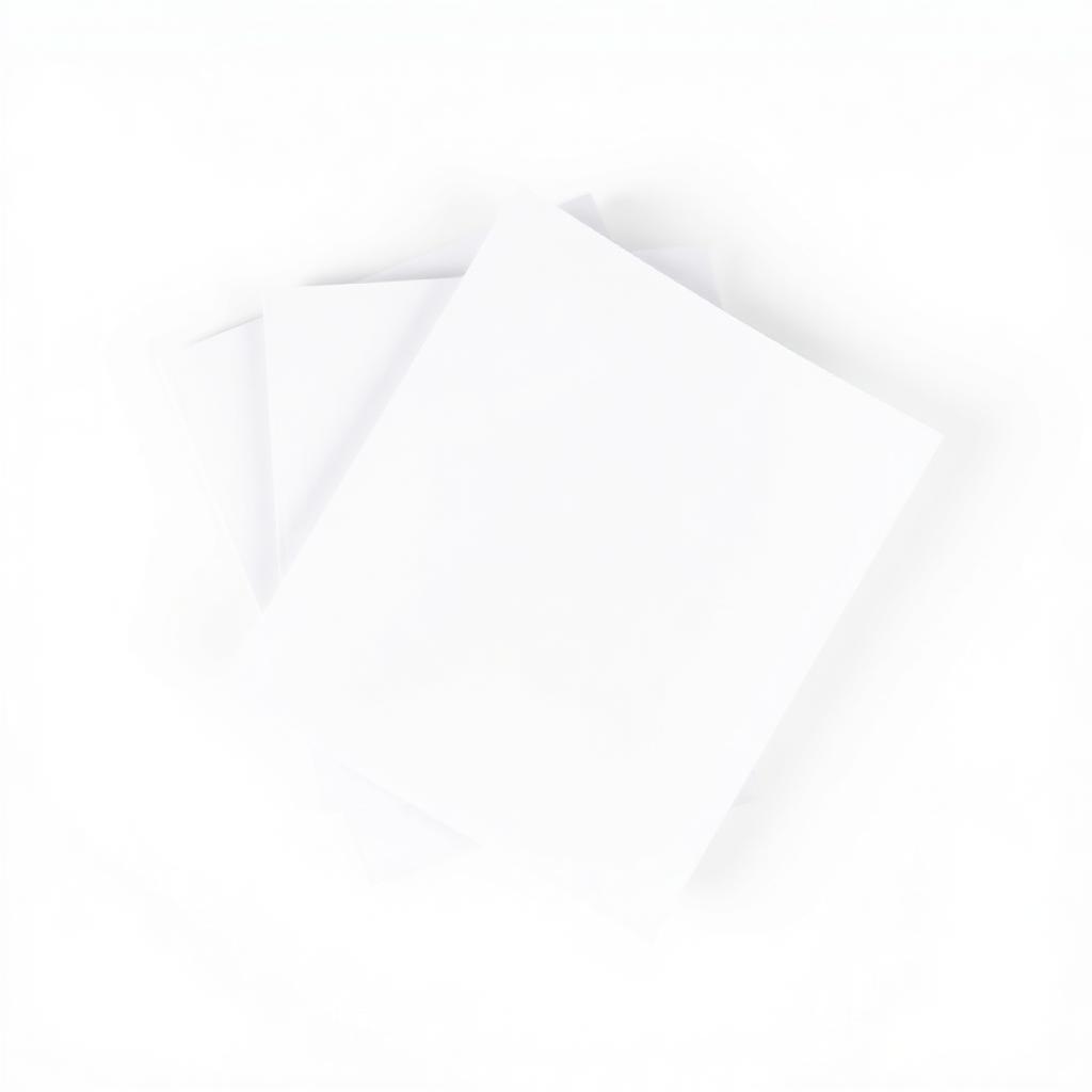 Katalog / Dergi